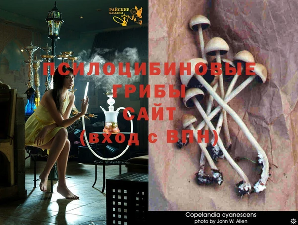 винт Алексеевка