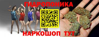 ГАЛЛЮЦИНОГЕННЫЕ ГРИБЫ Будённовск
