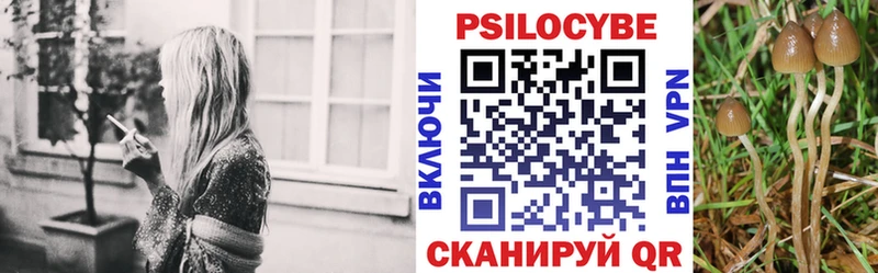 Галлюциногенные грибы Psilocybe Котельники