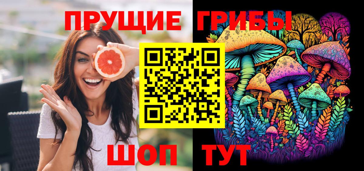 Галлюциногенные грибы Psilocybine cubensis Котельники