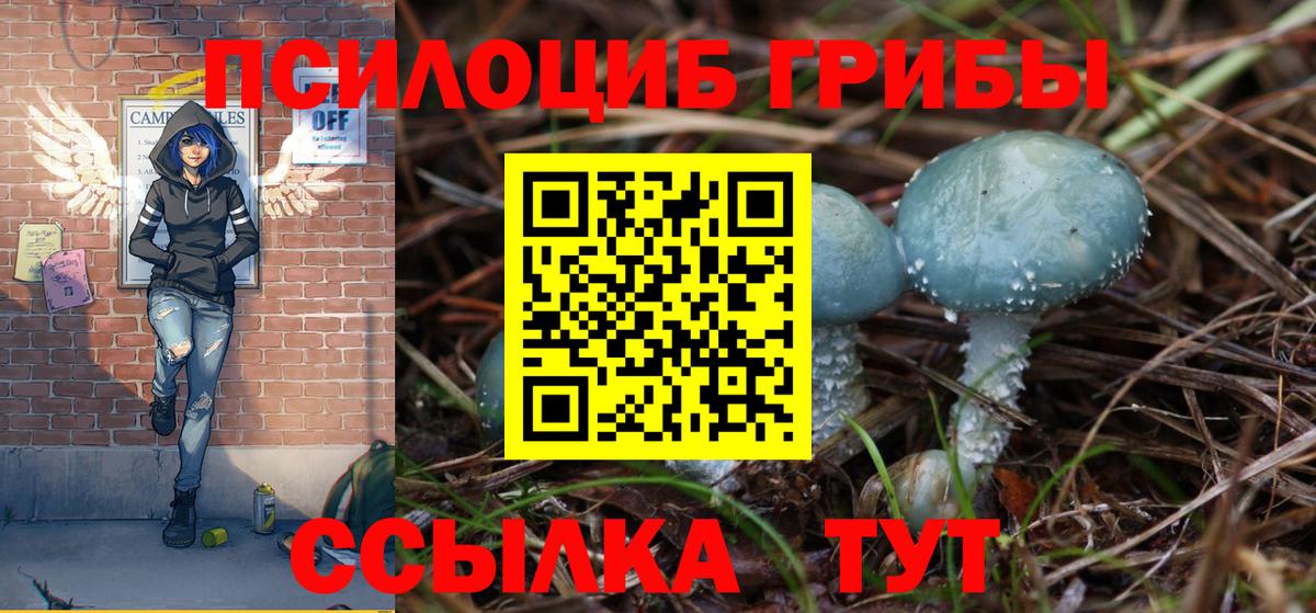 Галлюциногенные грибы GOLDEN TEACHER  Псилоцибиновые грибы мухоморы  Котельники  Вход с VPN 